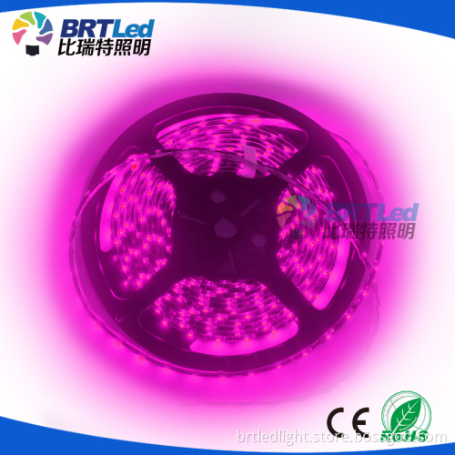 2016 new smd 3528 led strip high output led flexible led strip